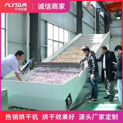 果蔬干燥机 果蔬网带烘干机 果蔬烘干机 水果蔬菜干脆片烘干机