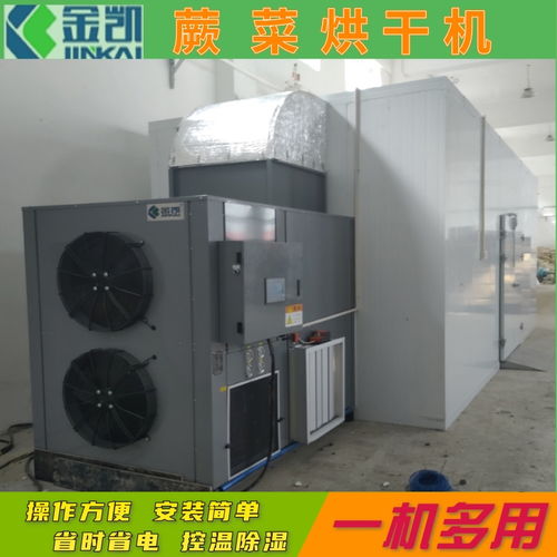 【蕨菜烘干机蔬菜烘干机果蔬烘干机空气能烘干房】- 