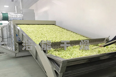 国家农业大发展,洁能果蔬烘干机前景光明