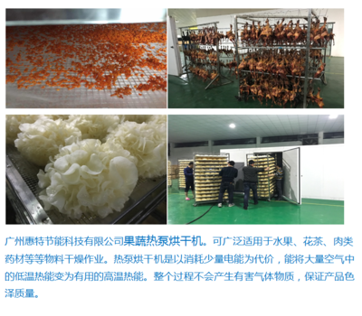 广州惠特高科农产品类 果蔬热泵烘干机