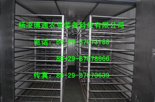 多功能烘干 果蔬烘干 西安烘干机