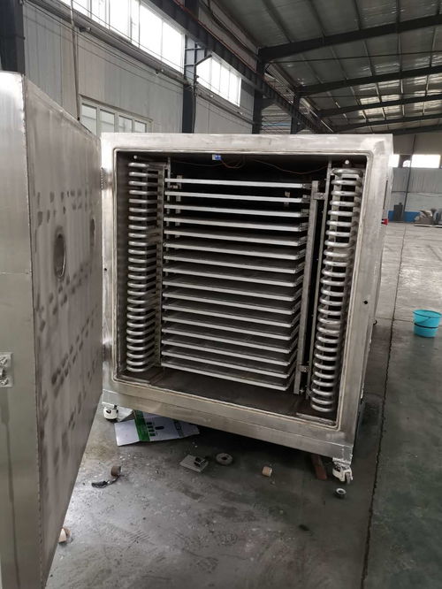 诸城市展鸿机械科技 果蔬烘干机助力农产品加工业提质增效