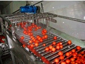 果蔬清洗机与果蔬烘干机 现代厨房的健康守护神