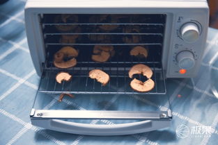 360°烘干，原汁原味即刻享用 金正家用食品水果烘干机全体验