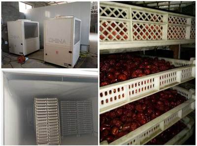 喜讯 正旭三款果蔬烘干机入选国家补贴目录，最高补贴4万元助力产业升级