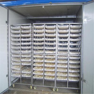 热风循环烘干箱 农产品深加工的得力助手