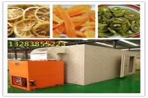 风刀式烘干机 果蔬烘干领域的专业市场新势力