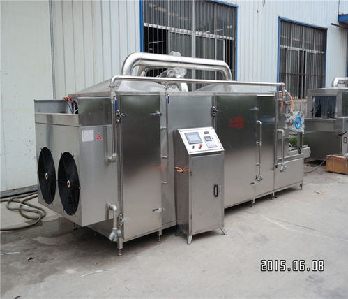 水果加工定制烘干机图片 山东嘉信工业装备