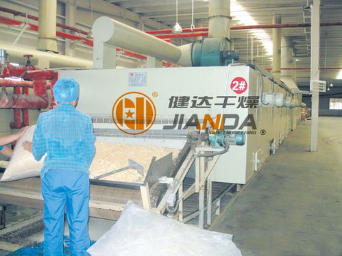 DWD系列带式干燥机：高效果蔬烘干解决方案