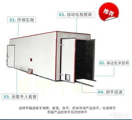 果蔬烘干机 现代家庭营养与便捷的守护者