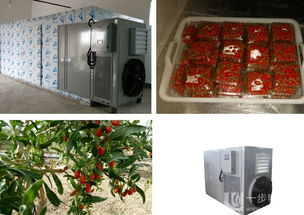 夏季果蔬专用干燥机 高效节能，助力果蔬加工产业升级